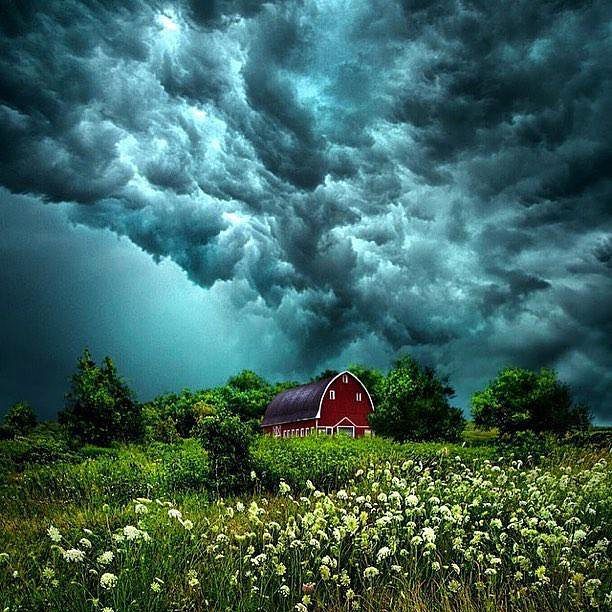 The Nature (@the_nature_01) on Twitter photo 