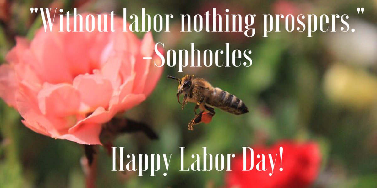 MPIMN's tweet photo. #MotivationMonday #MPIMNMatters https://t.co/D7GboOtxcc