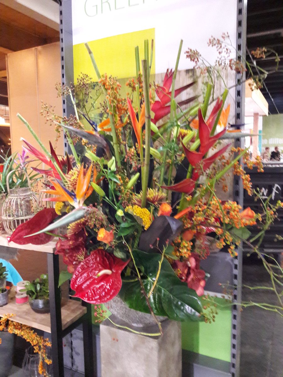 GreenBaze1's tweet photo. GreenBaze is present at spoga+gafa, the place to meet for the international garden industry! https://t.co/GZKdEytXrp