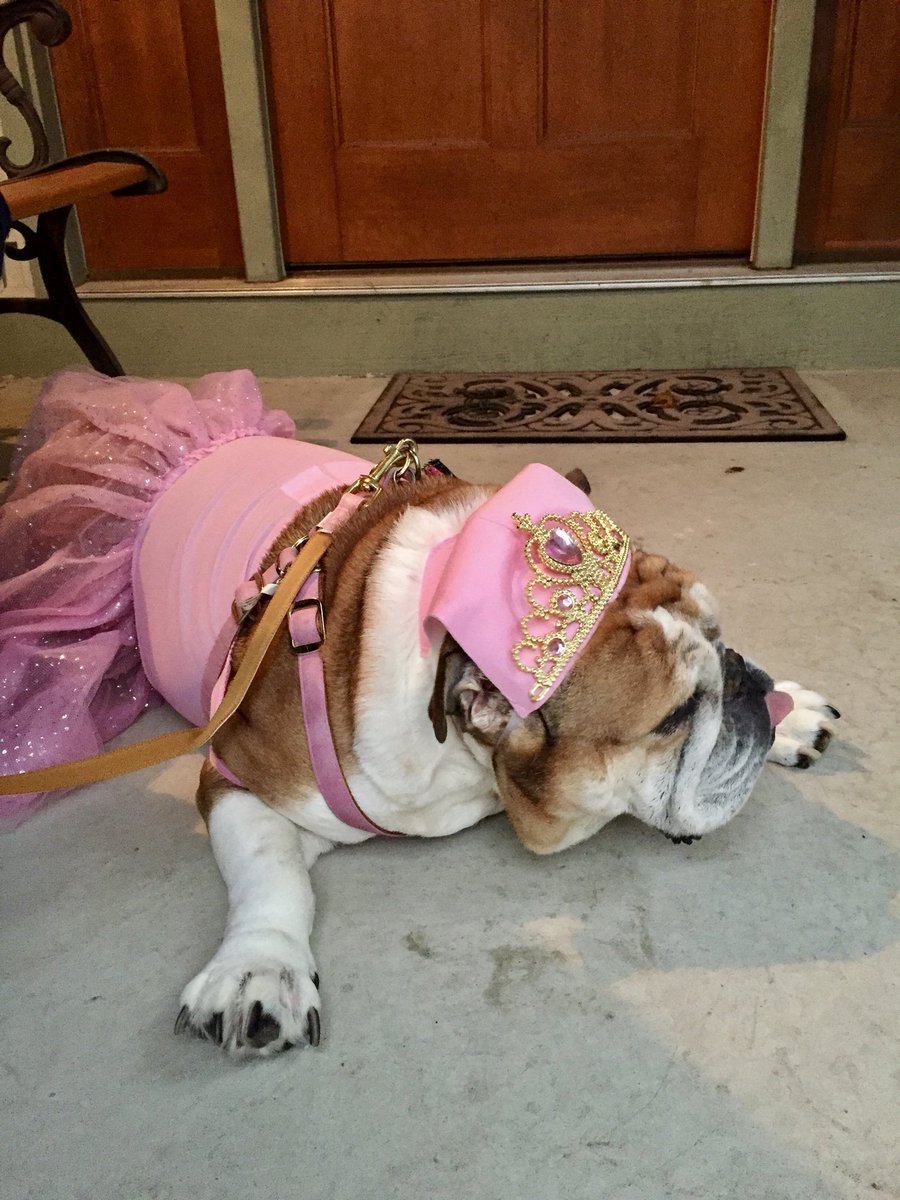 PetsNatural's tweet photo. https://t.co/9DMjeCRehV