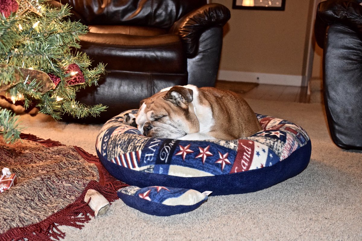 PetsNatural's tweet photo. https://t.co/9DMjeCRehV