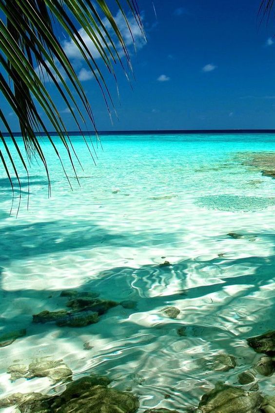 Freeze247's tweet photo. Enjoying Labor Day weekend like... https://t.co/Dh9htxRBxi
#labordayholiday #freeze247 #relaxation https://t.co/7EauPX8N0n