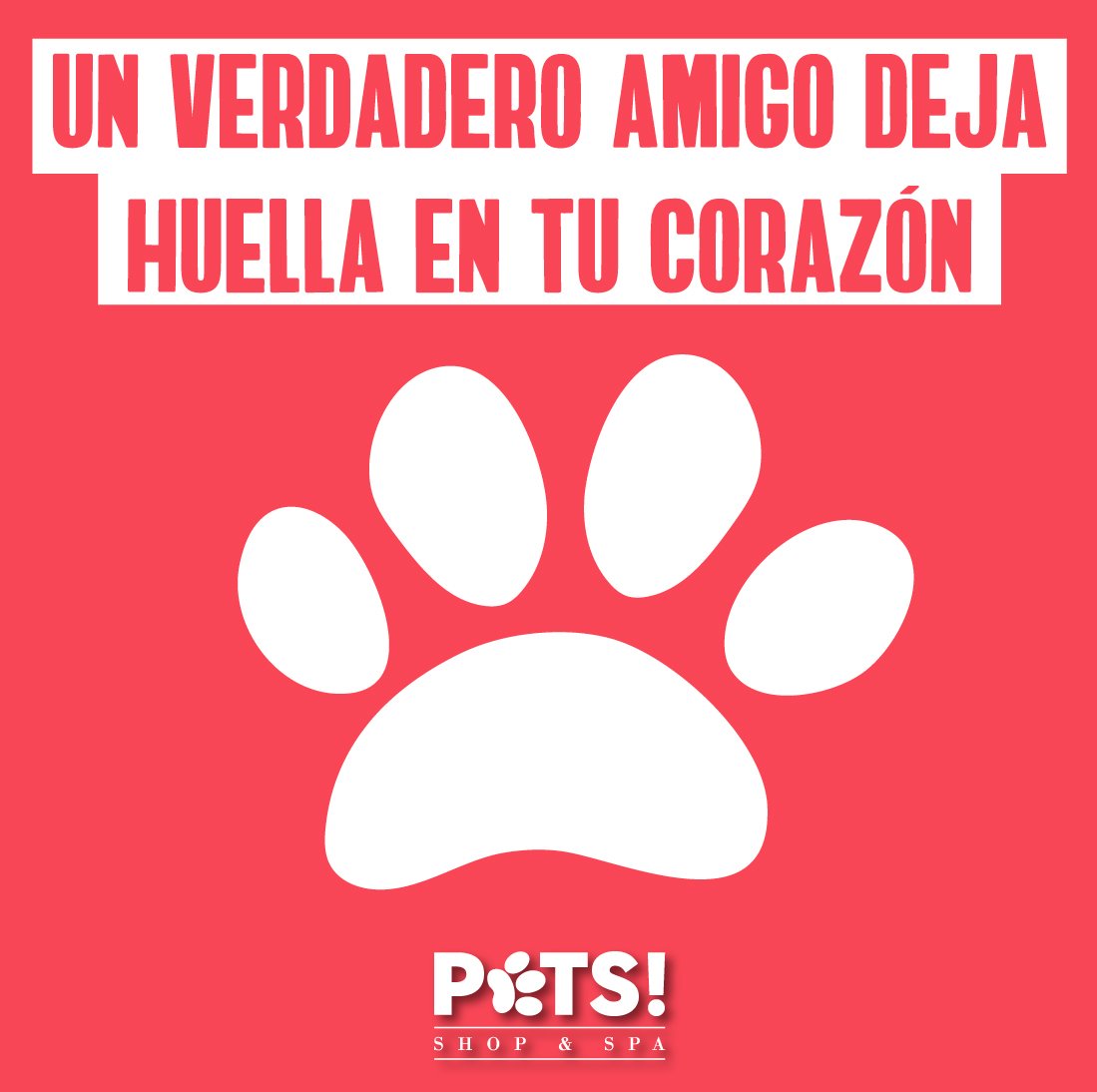 PetsShopandSpa's tweet photo. ¡Feliz Lunes! Un verdadero amigo deja huella en tu corazón. Recuerda que en @pets_shop hoy lunes abrimos a las 9:00 am ¡Te esperamos! https://t.co/JIRksi2BhE