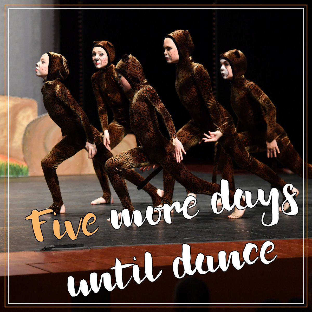 York Dance Academy tweet media