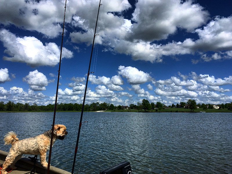 SolitudeLake's tweet photo. Happy #LaborDay from #TeamSOLitude ! We hope your holiday weekend is filled with relaxation, family and friends. #RestRelaxRepeat https://t.co/o3SMzSLlZc