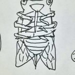母蝉・姉蝉で定説が覆された!３枚目の衝撃のイラストに注目w