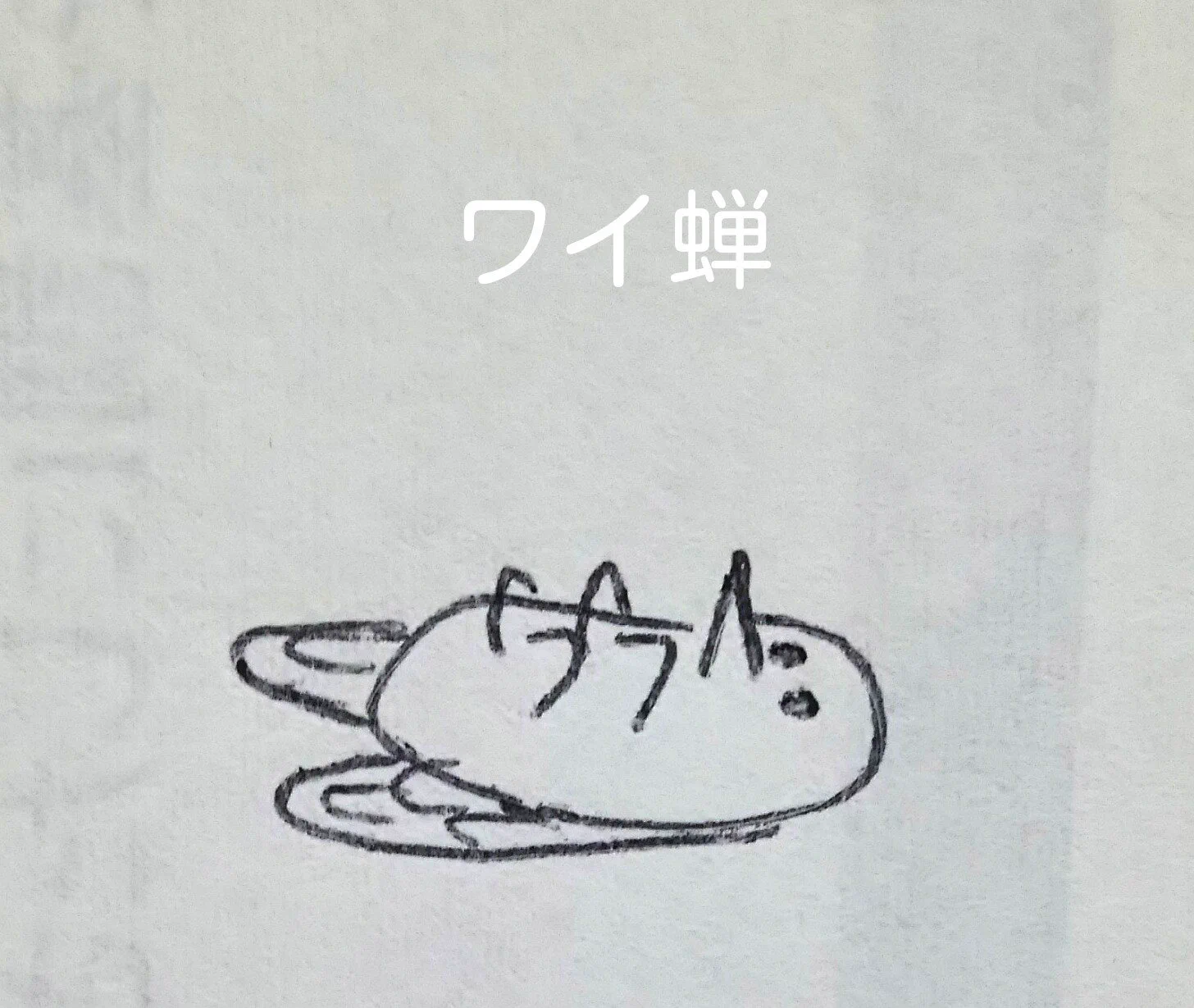母蝉・姉蝉で定説が覆された！３枚目の衝撃のイラストに注目ｗｗ