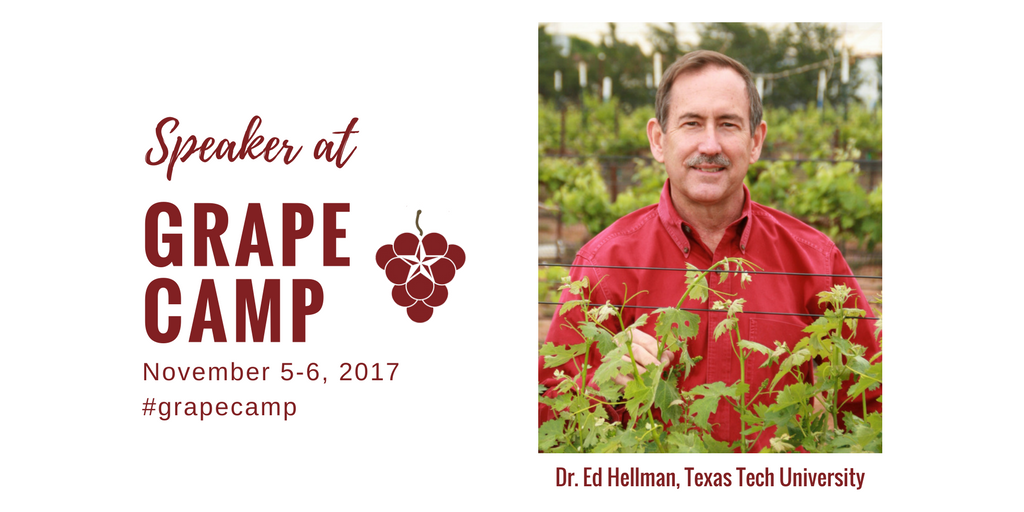 Texas_Wine's tweet photo. Don't miss Dr. Ed Hellman this year at Grape Camp!
Register: https://t.co/Q4XU8TzFCT
#grapecamp #txvines #txwine https://t.co/gKWbgFewwk