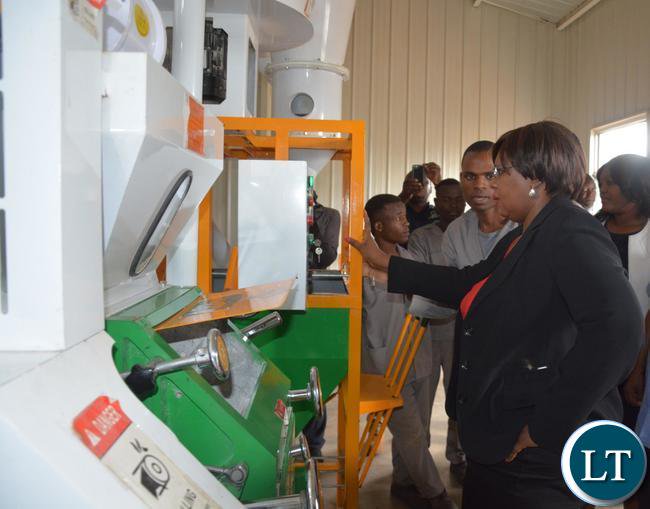 SaharaVolt's tweet photo. A total of 567 of the targeted 2000 #solar powered hammer mills were installed across Zambia according to ZCF.
https://t.co/fBmbRR2JxV https://t.co/k2UHsLfyVN
