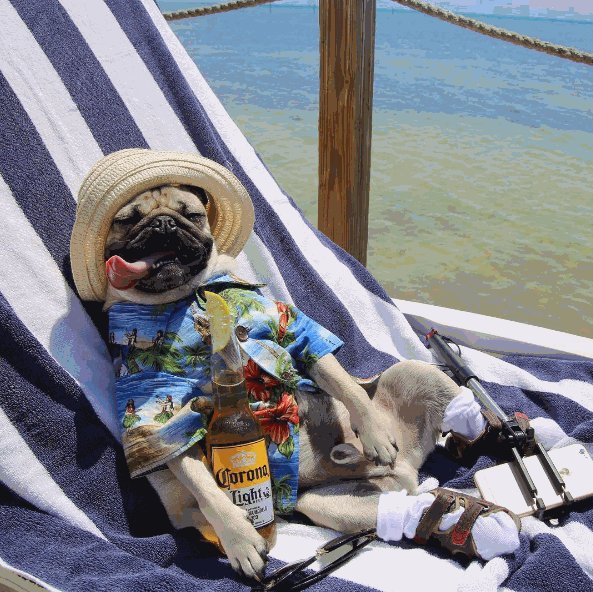 VinylMePlease's tweet image. Let @itsdougthepug be your Labor Day inspiration. Wear the socks with the sandals and listen to some good music.