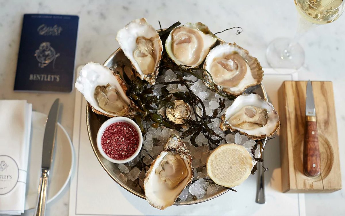 It's oyster season... and here's where to go for the best in London <a href="/Bentleys_london/">Bentley's Oyster Bar</a> <a href="/JSheekeyRest/">J Sheekey</a> <a href="/WrightBrosLTD/">Wright Bros</a> telegraph.co.uk/luxury/drinkin…