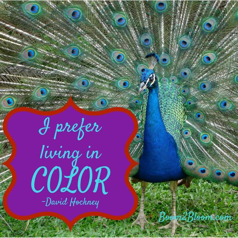 Boom2Bloom's tweet photo. #ColorQuotes #ArtQuotes #Creativity #CreativityQuotes https://t.co/3ZzonWpLxM
