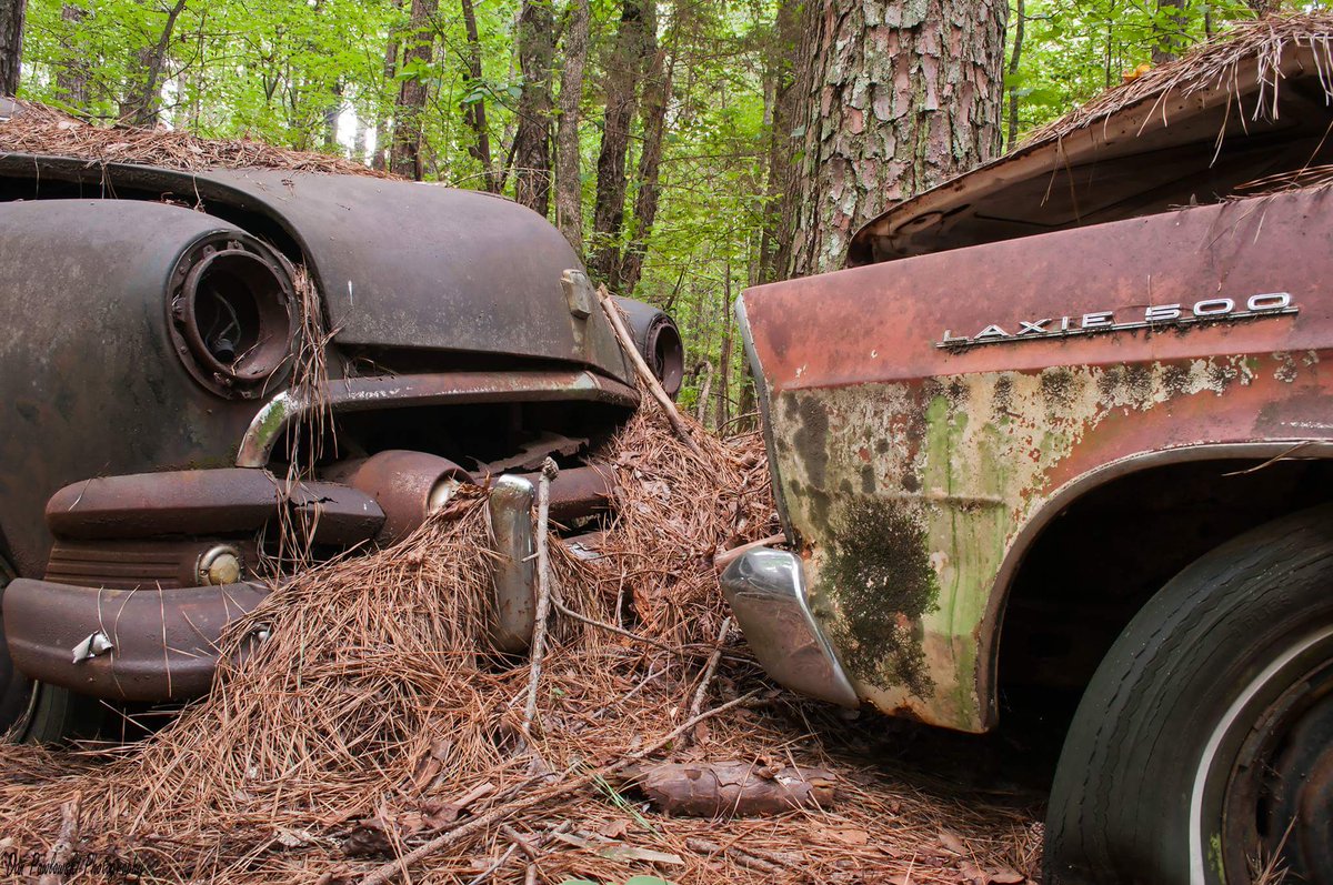 outdoorfreak247's tweet photo. "Head On" Thats a Galaxie 500, not a Laxie 500 😂 #abandoned #urban #explore #exploring #exploration #urbex #oldcarcity @urbexa_com https://t.co/8uVkuyaCAK
