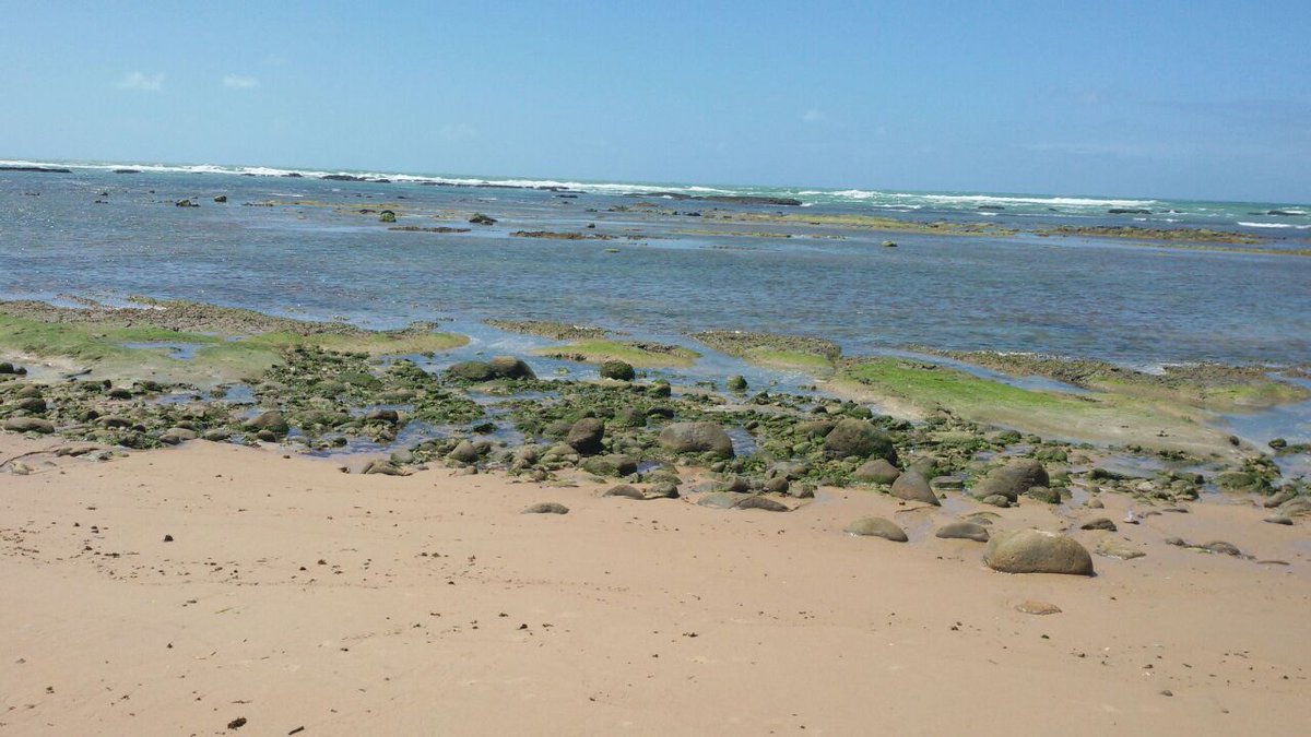 #blablablametro #TimBeta #TimBetaAjudaTimBeta #BetaAjudaBeta #