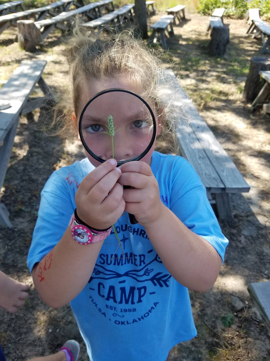 CLOCstem's tweet photo. STEM is ALIVE at Summer Camp - bridging the learning gap @TulsaSTEM @campculture @SummerCamp411 @StemEduRR @okstemteacher @CampLoughridge https://t.co/t0HFbSwoP4