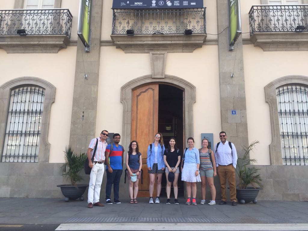 GeoTenerife Hydro tweet media