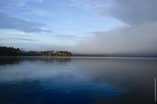 Seis historias para celebrar el aniversario de la Reserva Nacional de Tambopata #SomosTambopata goo.gl/6BxGe6