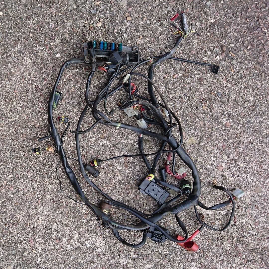 Paul_Bicker's tweet photo. Old buggered harness, time to replace and strip for spares! #ducaticaferacer #caferacer #ducati #builtbythehand https://t.co/WteRPGHeYg