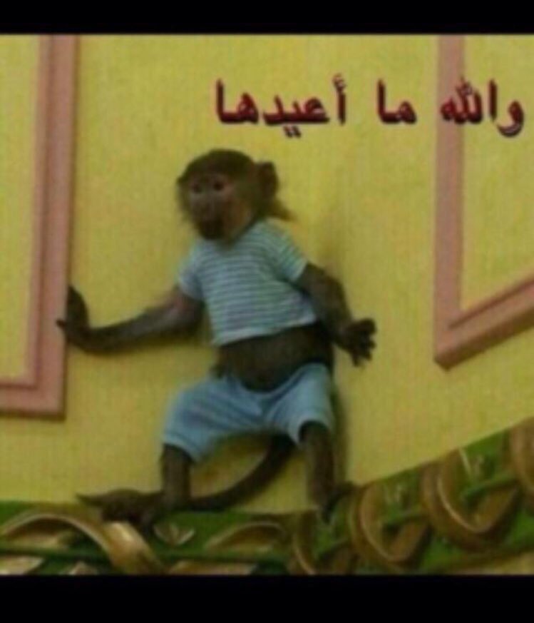 D____________4's tweet photo. @bdwQ8 @___Ghadeer__  https://t.co/Tqos451Asb