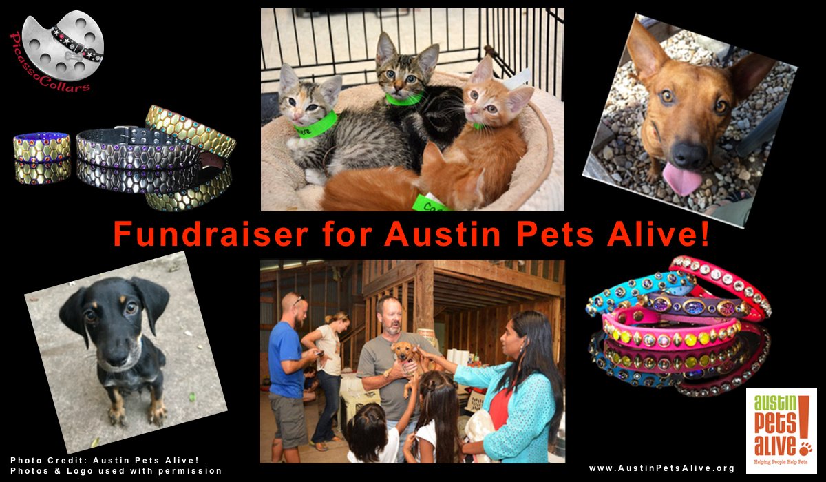 Picasso13_'s tweet photo. 15% off for YOU w/ code HARVEY15, &amp; 50% of your purchase price will be donated to @austinpetsalive.  Now thru 9/8. https://t.co/WV5R91nqZn. https://t.co/e2bO2WchiO