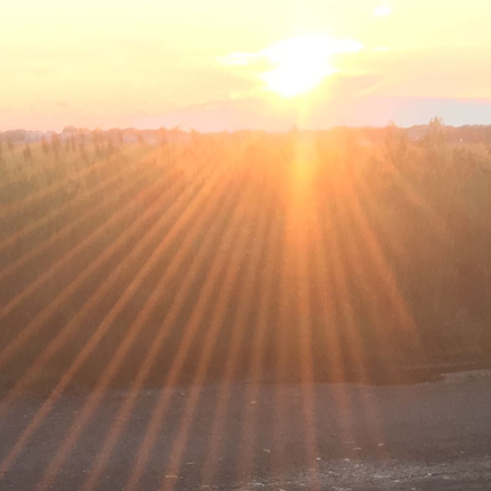 YogiJoaquin's tweet photo. You're a ray of sunshine. https://t.co/UhyhLWqfE8 https://t.co/jxjCZ0WRyl