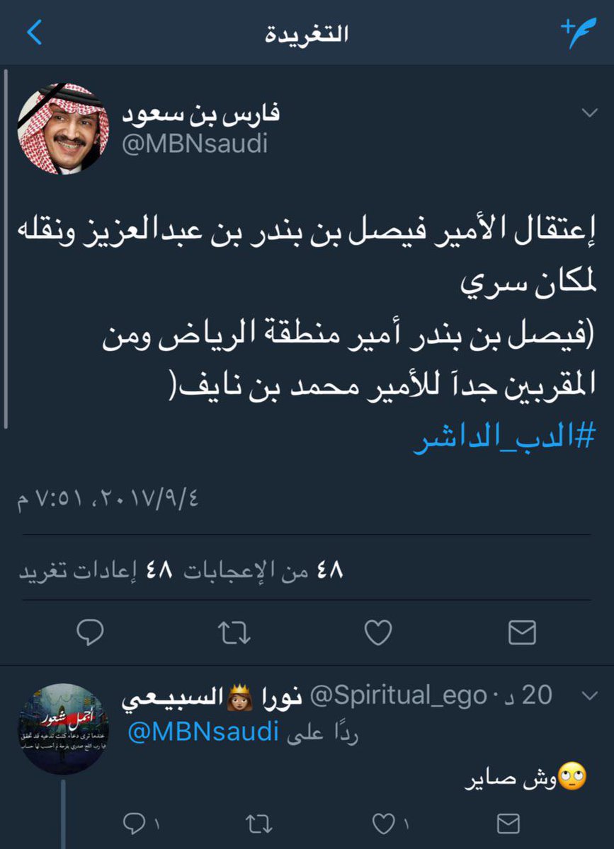 عرض الصورة على تويتر