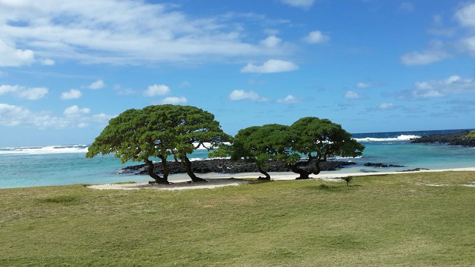 beachcomber_IT's tweet photo. A passeggio vicino allo Shandrani Beachcomber Resort &amp; Spa #mauritius #natura #BeachcomberExperience https://t.co/MLAiq1z6SA
