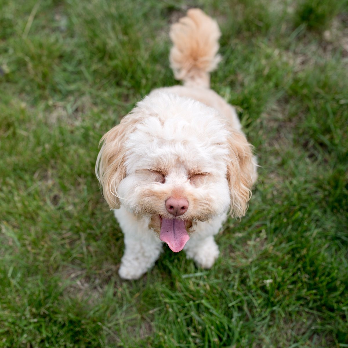 As happy/pooped as this pup after our #LDW double-header 🐶We'll have sneak peeks on our <a href="/instagram/">Instagram</a> &amp; <a href="/facebook/">Facebook</a> soon! #SeptemberComingInHot 📸