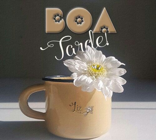 Boa tardr amigos beta. Ajuda no rt... (@ Sobrancelhas &amp; Cia.) swarmapp.com/c/kCKWD2h30QD