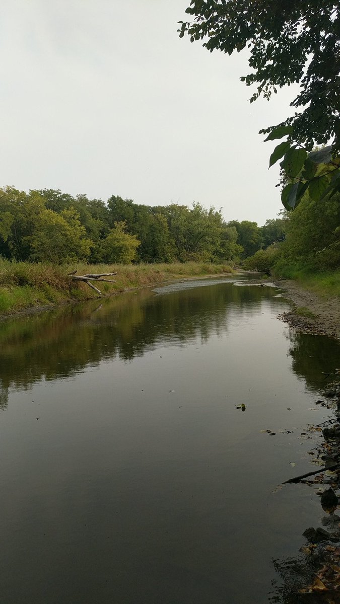 JordanMunson3's tweet photo. Always good to get on some Creek Smallies @FishingTheMW https://t.co/1NsyqW3NjM