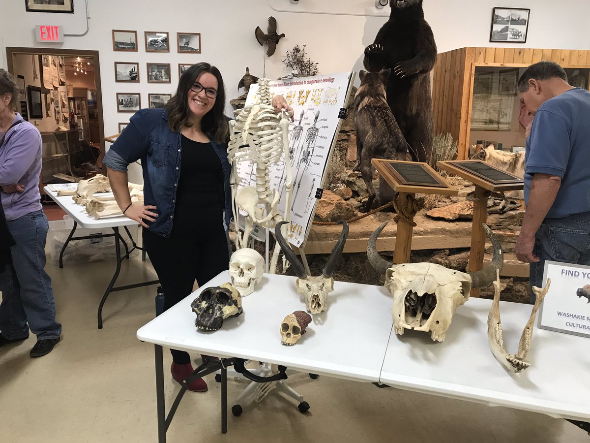 WashakieMuseum's tweet photo. Washakie Museum teaching osteology at Meeteetse Museum! #laborday #archaeology #museum https://t.co/5tWUDPiOMa