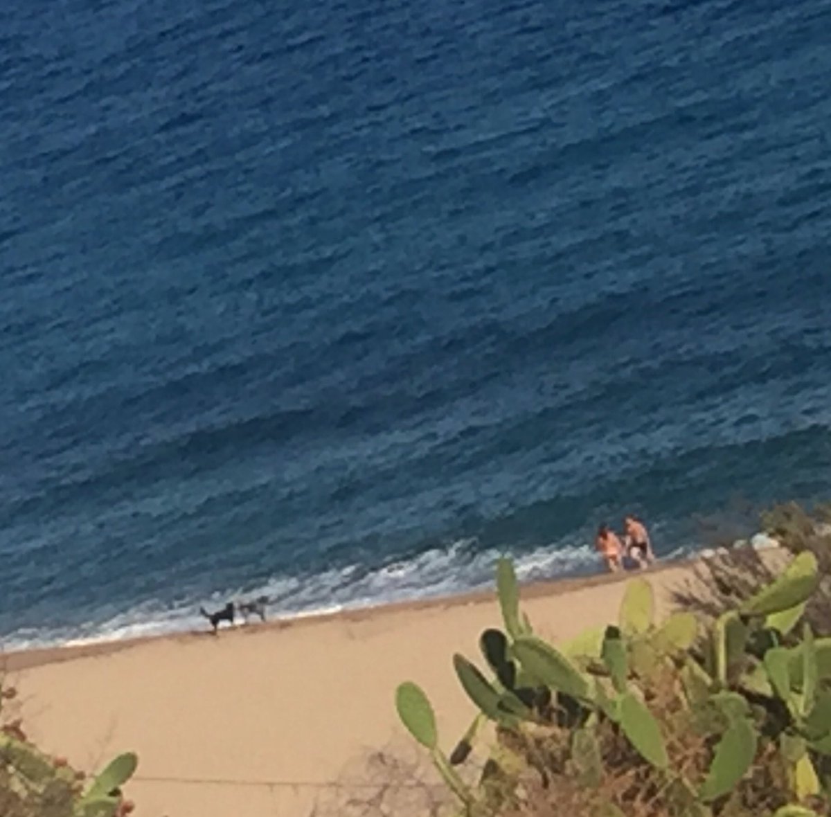 pepVictus's tweet photo. Baixar a la platja per gaudir d tranquilitat i trobar els incivics.Qui vigila @ajsantpol ? Qui fa complir l'ordenança?Ningú @sindicdegreuges https://t.co/w1b7G0GjHd