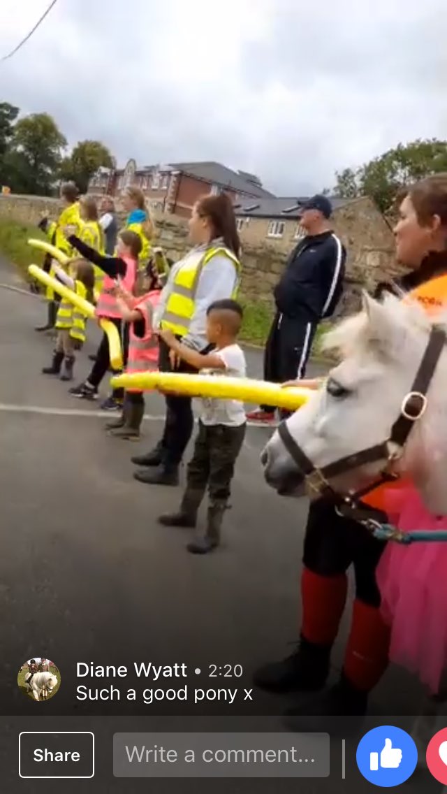 dee130882's tweet photo. #TourOfBritain welcomed to #bebside #pony #horsehour https://t.co/AjPzDfLHC9