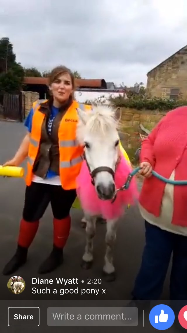 dee130882's tweet photo. #TourOfBritain welcomed to #bebside #pony #horsehour https://t.co/AjPzDfLHC9