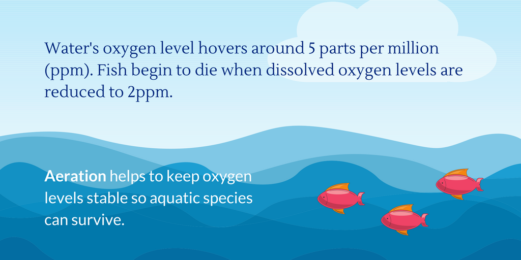 AirDiffusion's tweet photo. #Aeration is a solution to increase #oxygen in #water that's been depleted from #runoff &amp; #chemicals. https://t.co/PMSjWJvXQ9 https://t.co/c6PJCi84oa