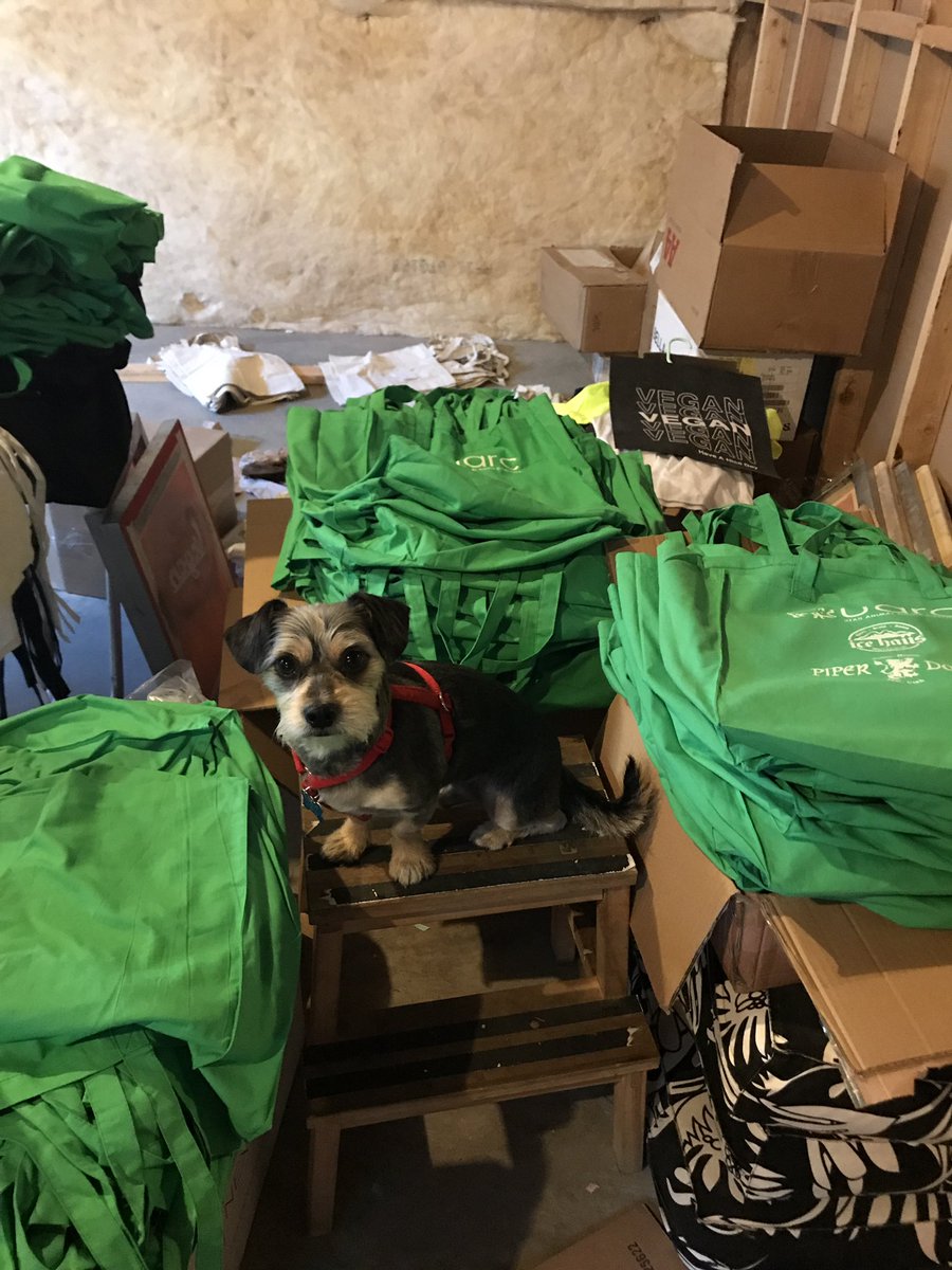 whichsidepod's tweet image. Kevin wants to help promote animal rights at the @UARC  @SLCVegFest. Meet him on September 9th at the downtown library square at our booth.