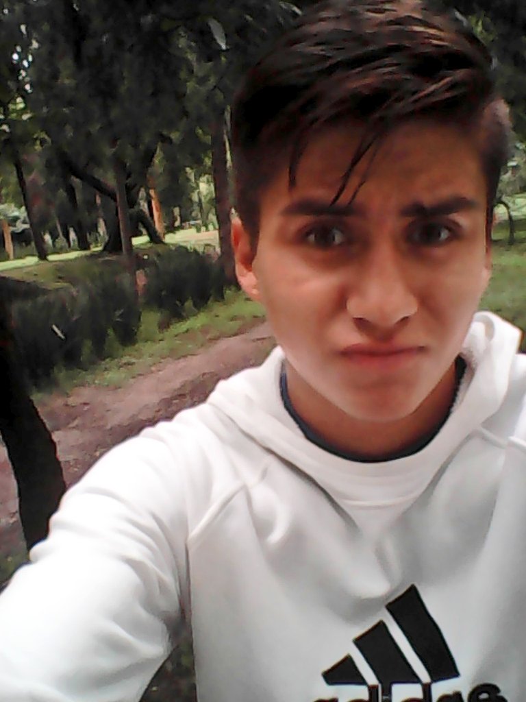 Jorge16Nava's tweet photo. Oo si jeje https://t.co/XTef3lhdP8