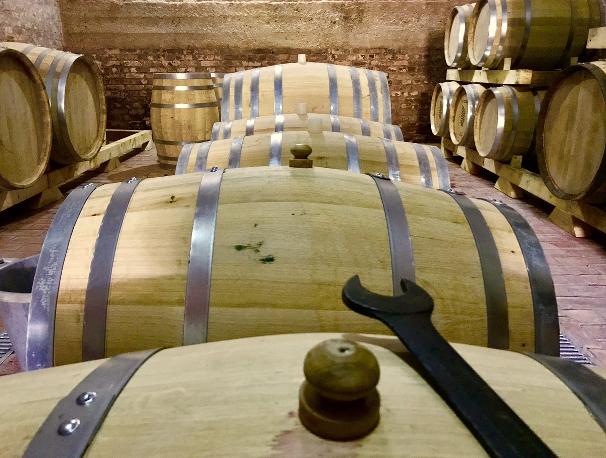 quetwine's tweet photo. #Harvest2017 in full swing! #Berba2017 u punom zamahu!
#收获2017 #Fruvin #Quetwine #TriSunca #Fruskagora #Serbia https://t.co/HOx41oaYFr https://t.co/lRRBXluRIu