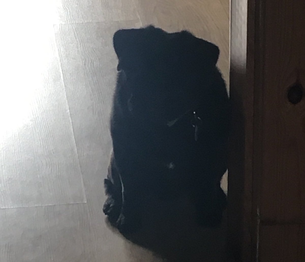 HugoTheBoss16's tweet photo. Me when I find out it's Monday. ☹️ https://t.co/rV2kTSsbC0