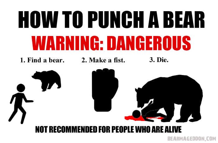 ajksmithp's tweet photo. Been talking to my friends about bears and hypothetical situations involving their kids. #pickone https://t.co/YgX44oRBMA