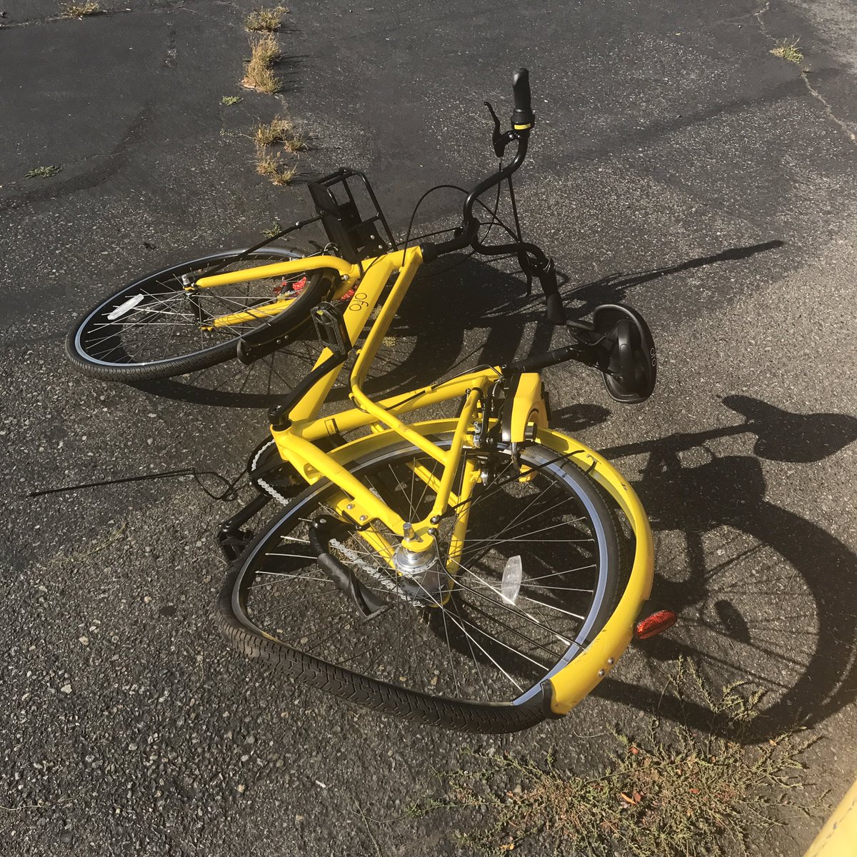seanpants's tweet photo. @ofo_bicycle down in @UW's Husky parking lot! Send in a medic! #seabikes https://t.co/XPC0xurJGv