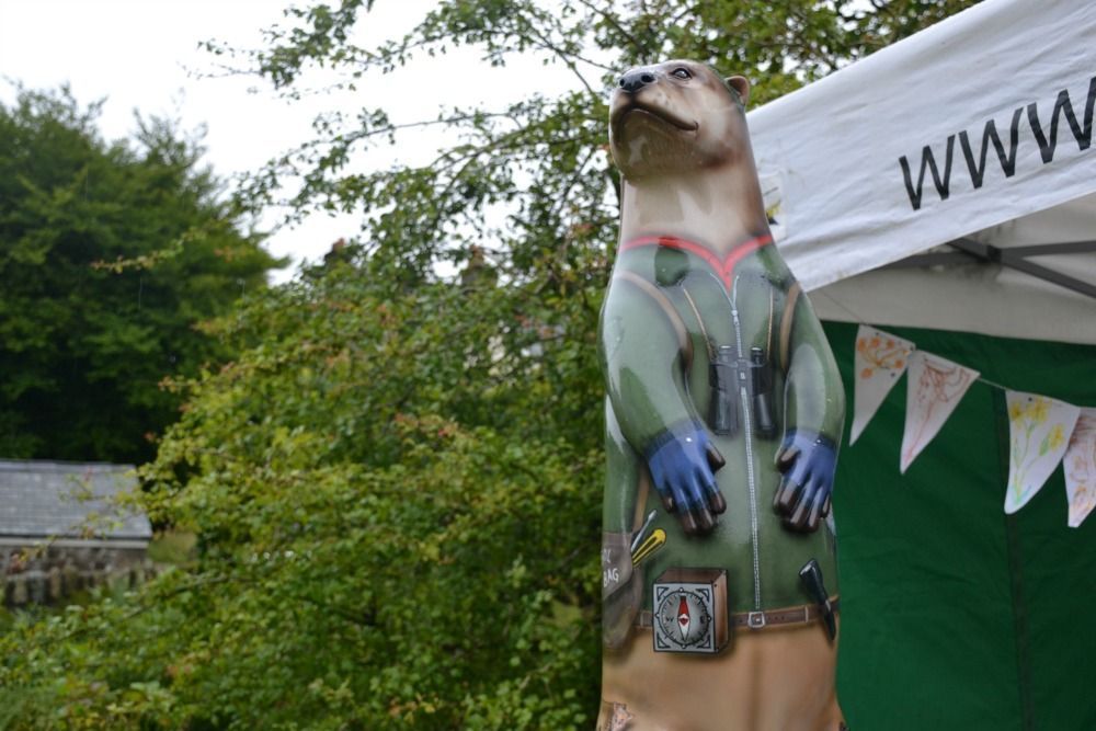 A great family activity for the final days of summer in #Devon: searching for #MoorOtters buff.ly/2wxLYNM #Dartmoor