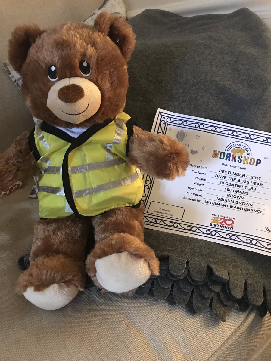 DamantW's tweet photo. Welcoming our latest recruit Dave the "Boss Bear" follow us as Dave joins the team in their new projects! #landlords #PropertyManagement https://t.co/qA7qXBOHD0