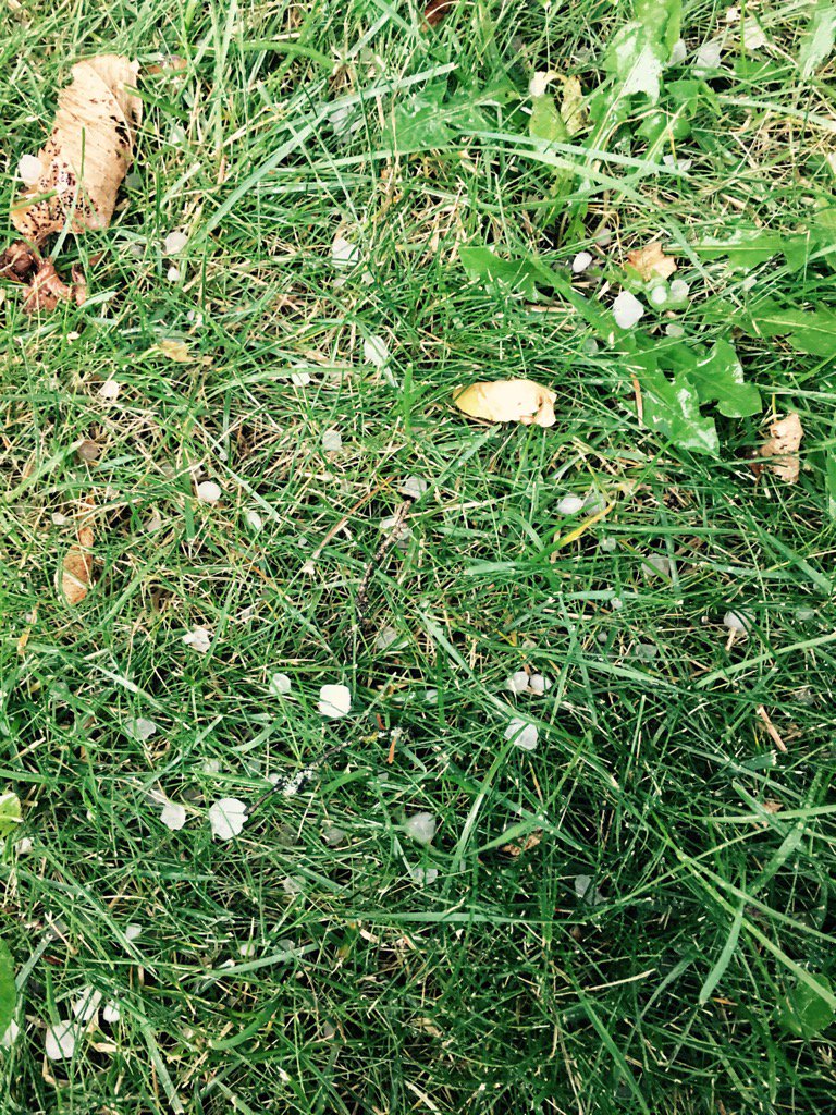 poundithashtag's tweet photo. Hail #rightnow #manitobaweather #suddenstorm #passingquickly #nicelabourday https://t.co/53wE0daIX9