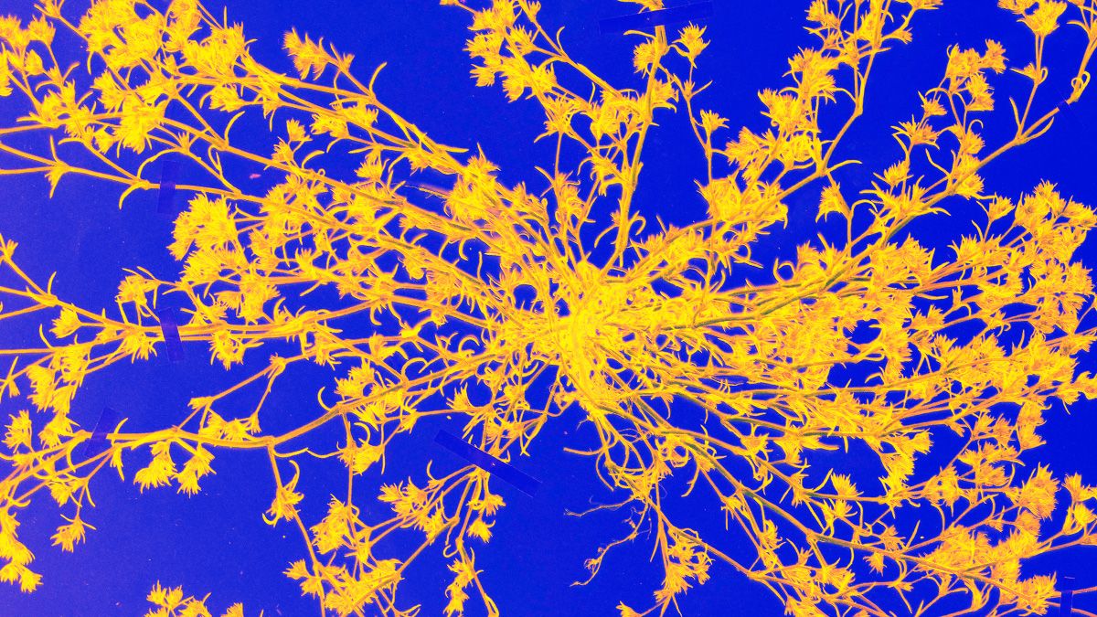 ClearViewCoach's tweet image. The Better You Know Yourself, the More Resilient You’ll Be buff.ly/2iWPlsD #SelfAwareness opens doors #BusinessCoach #ADHDcoach