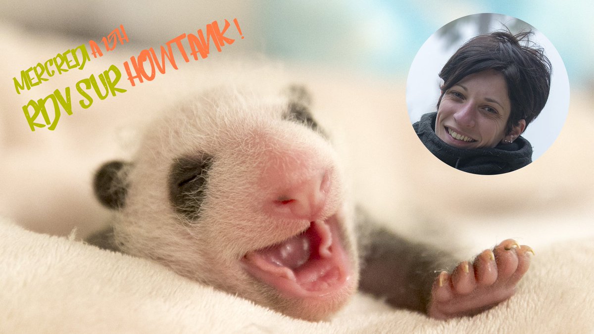 ZooParc de Beauval tweet media