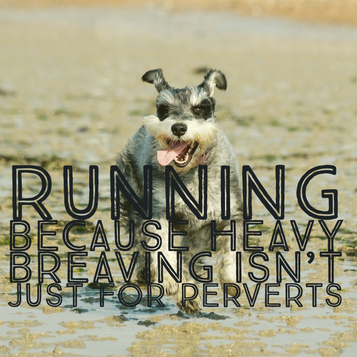OaWane's tweet photo. O come on you know its why you do it… the running we mean! #ukrunchat #teamoarock #reasonstorun https://t.co/nXvozJ2Y78