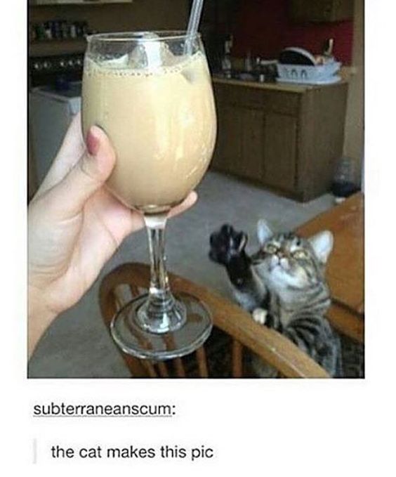 Oh Tumblr (@ohtumblroh) on Twitter photo 