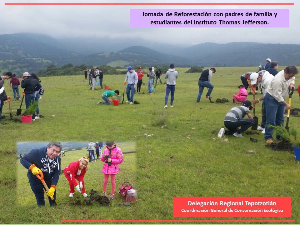 DelTepoCGCE's tweet photo. Para fomentar la conservación de la biodiversidad y el hábitat de especies,
reforestamos en la #SierraDeTepotzotlán #EsparceVida @FVE_CGCE https://t.co/L1fzj8EpMM