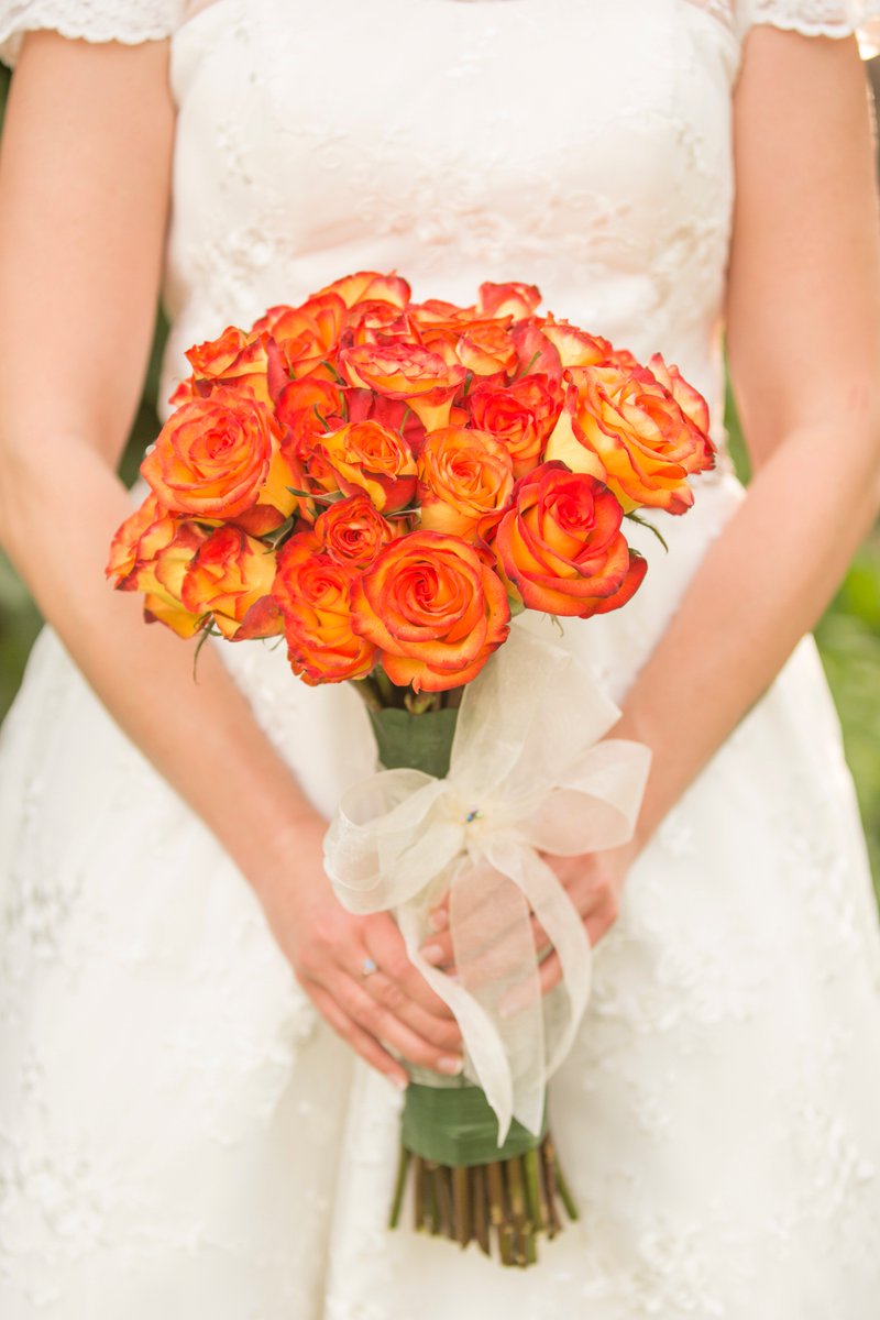 All Digital Photo tweet media